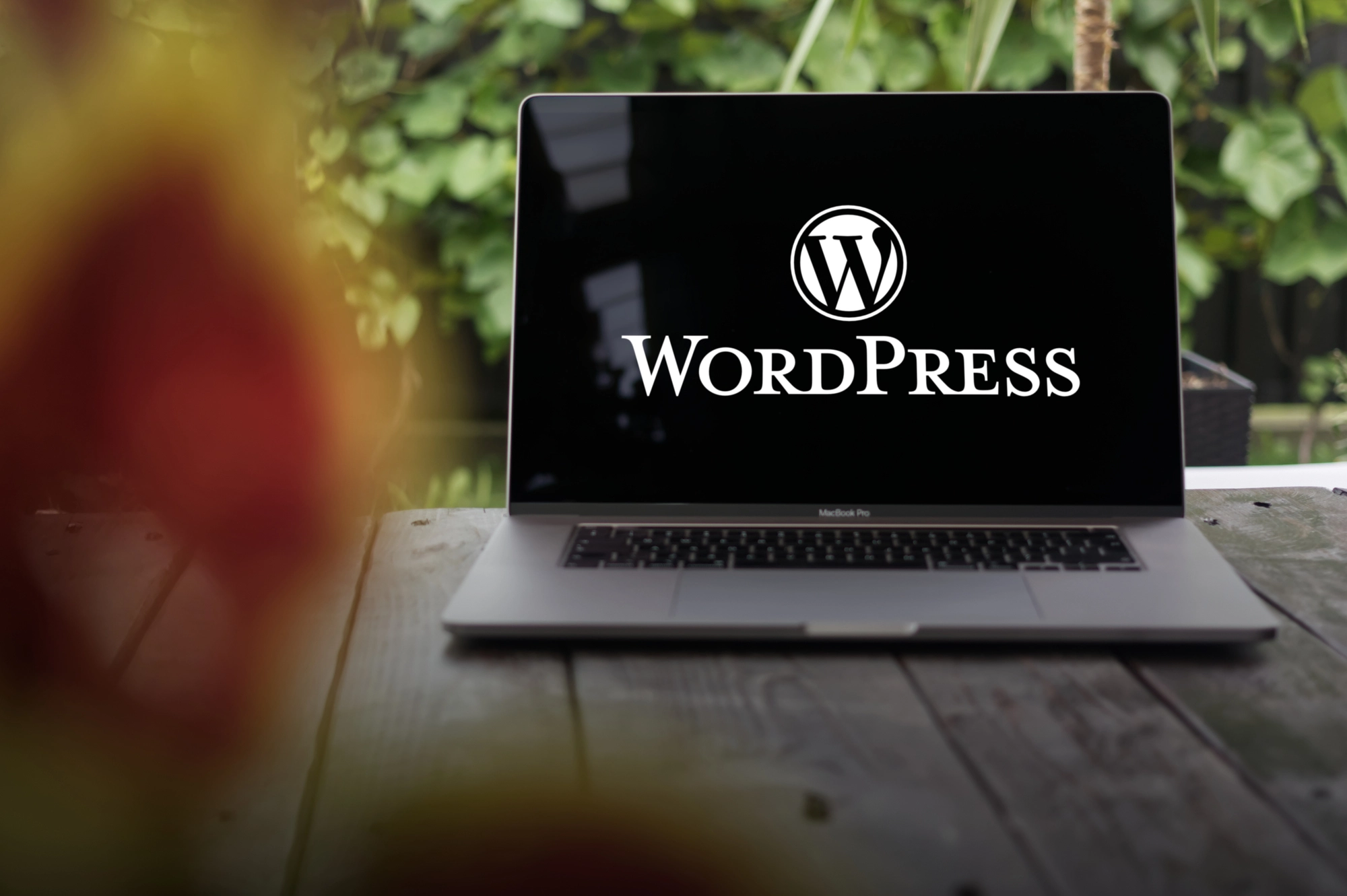 Wordpress Plugin Updates